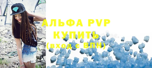 ГАЛЛЮЦИНОГЕННЫЕ ГРИБЫ Бородино