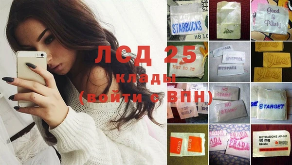 ГАЛЛЮЦИНОГЕННЫЕ ГРИБЫ Бородино
