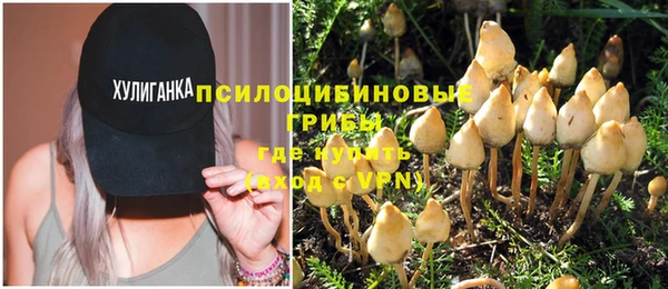 ГАЛЛЮЦИНОГЕННЫЕ ГРИБЫ Бородино