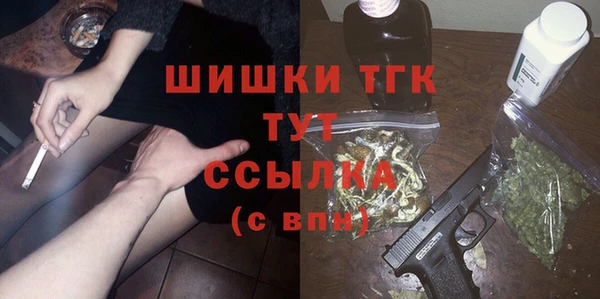 ГАЛЛЮЦИНОГЕННЫЕ ГРИБЫ Бородино