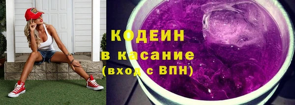 ГАЛЛЮЦИНОГЕННЫЕ ГРИБЫ Бородино