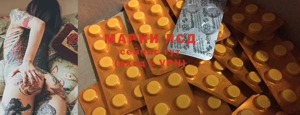 ГАЛЛЮЦИНОГЕННЫЕ ГРИБЫ Бородино