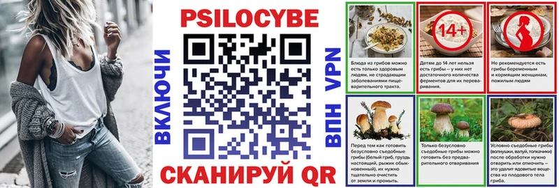Купить Малоярославец Псилоцибиновые грибы Psilocybine cubensis
